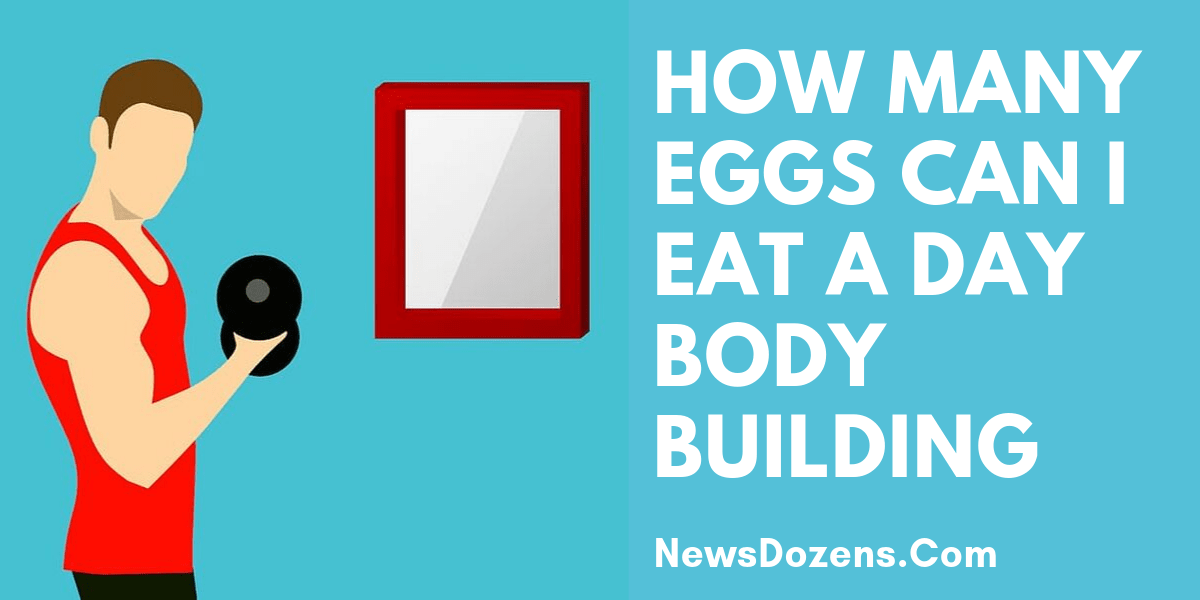 how many eggs can i eat a day bodybuilding