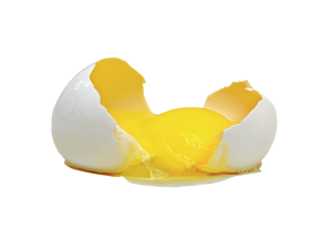 Making an Egg Mask