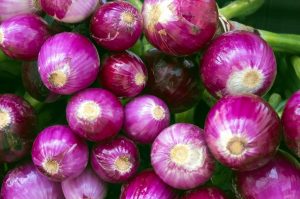 Onions hair growth solution